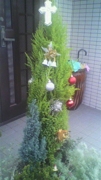 庭のツリー 2011/11/28 17:01:35