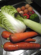 野菜 2009/05/18 16:16:13