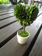 復活！ 2009/03/15 17:10:59