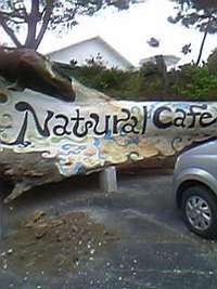 Natural Cafe haru 2008/03/15 18:03:20
