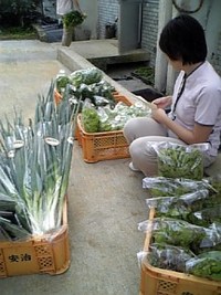 出荷の準備