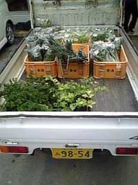 名護のファーマーズ