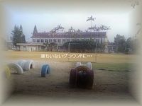 野に咲く花のように 2007/02/17 18:06:18