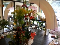 花屋と本。 2006/06/04 19:05:42