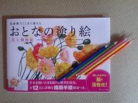 脳の活性化！ 2007/01/12 23:32:00
