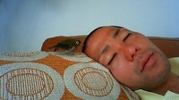 コソ泥とめじ朗。 2010/01/28 02:25:22
