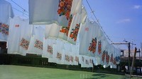 マネキンヤロー 2009/05/02 03:47:26