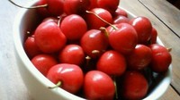 さくらんぼ。 2009/06/03 02:27:47