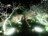 本物のハンター♥ 2011/02/10 05:25:32