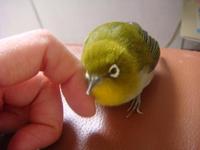 別れと出会い★ 2010/05/19 08:14:18