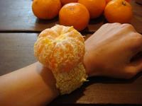 みかん腕時計。 2010/01/05 05:07:14