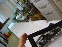 コルセット染。 2010/04/02 07:44:03