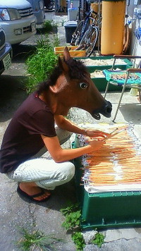 暑いからこそ馬になる。 2010/08/21 02:49:36