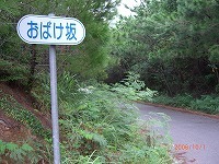 ミステリー！？