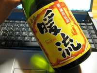 ダンボール