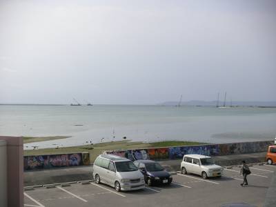 今日の泡瀬干潟3/12