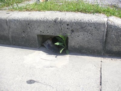 うごめく影