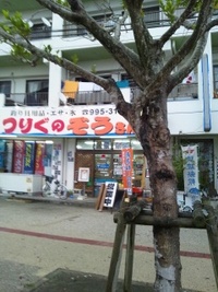 チヌ行ってきた！ 2012/02/26 17:32:09