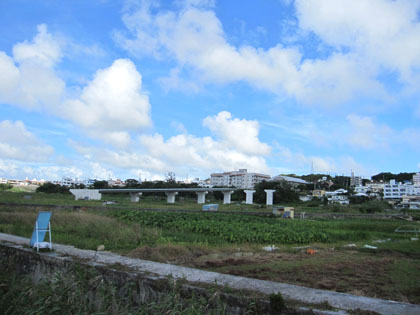 田芋畑の橋