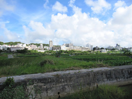 田芋畑の橋