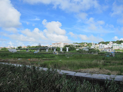 田芋畑の橋