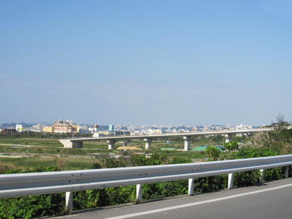 田芋畑の橋