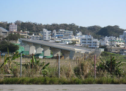 田芋畑の橋