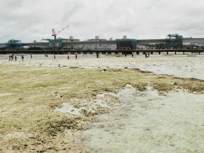 海側からの高架橋現場