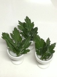 菊酒 2014/10/02 18:32:30
