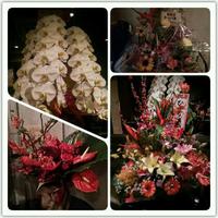 ～Turquoise～ 2013/12/01 22:02:30