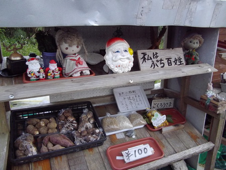 原付二種で行く離島キャンプツーリング　徳之島