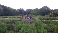 北山公園 2016/07/04 17:59:26