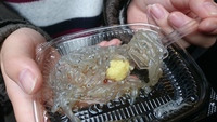 生しらす
