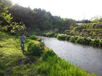 カラー 2016/05/06 09:10:08