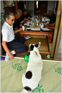 お祝いの意味