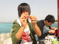 春 の 渡嘉敷