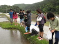 春 の 渡嘉敷