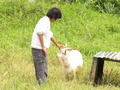 春 の 渡嘉敷