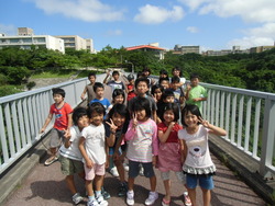 琉大の風樹館