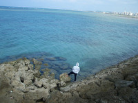 キレイな海西洲 2010/11/07 01:10:01