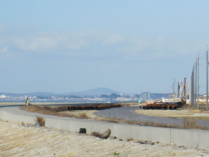浦添の礁池干潟