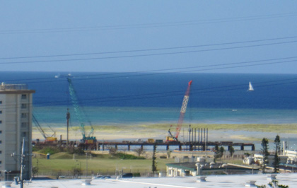 浦添の礁池干潟