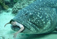 沖縄には人を食べる魚がいるらしい・・・ 2006/09/11 22:49:11