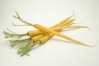 おすすめ沖縄野菜の情報を募集！ 2012/12/12 19:10:03