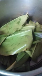 ムーチー 2011/01/11 07:55:40