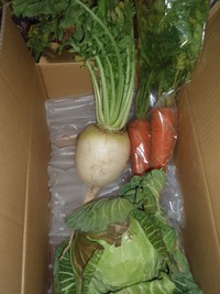 有機野菜