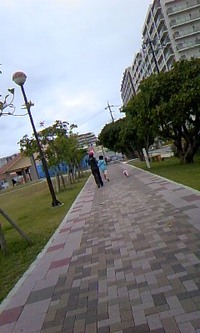 トレーニング２ 2010/01/02 13:18:43