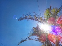 2011 okinawa夏到来！