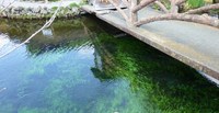 青い湖