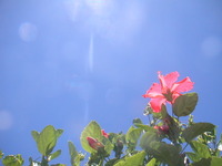 2011年08月16日